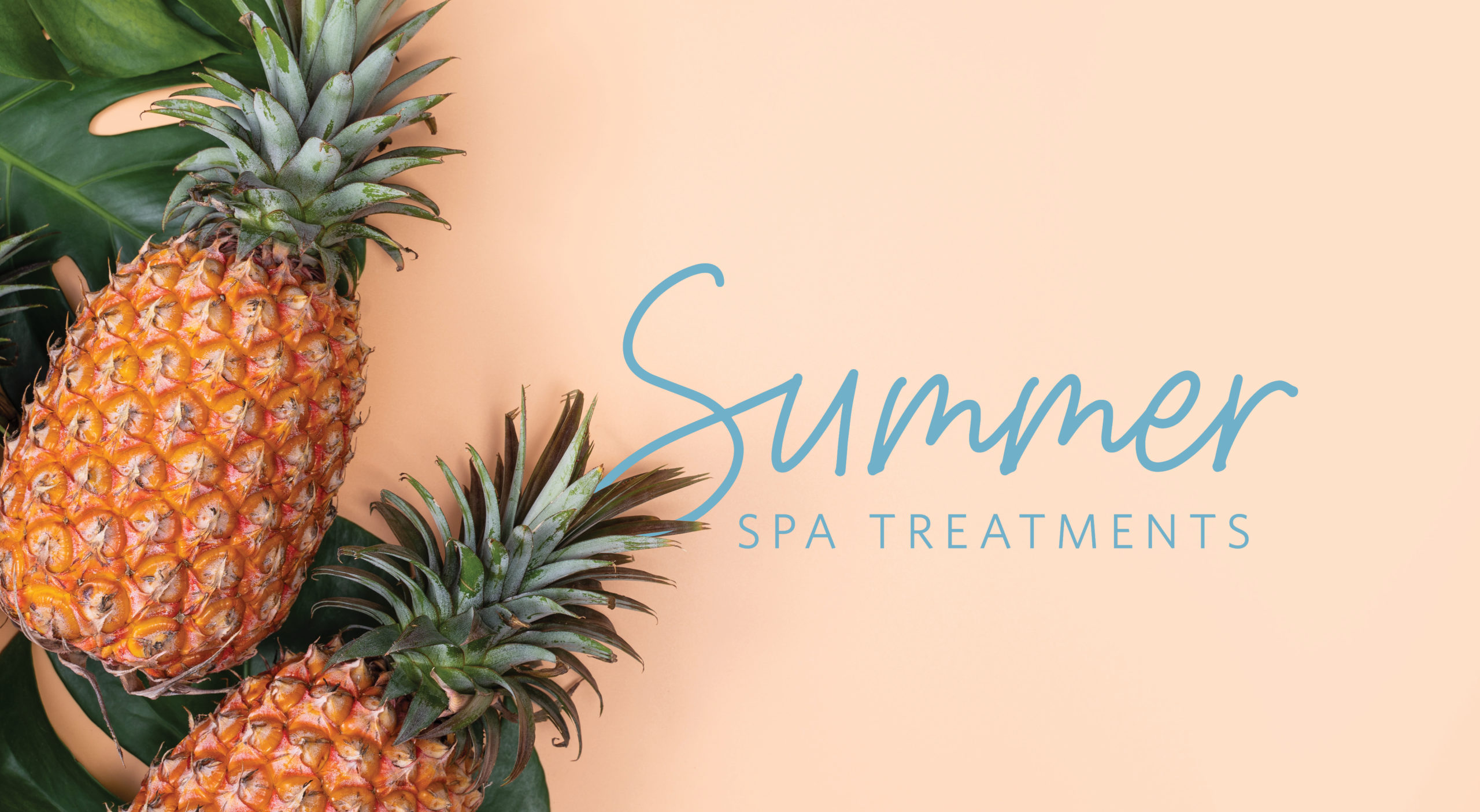 NSGP_SummerTreatments_WebsiteImage_1898x1042_0506222
